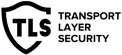 Transport Layer Security Mockup